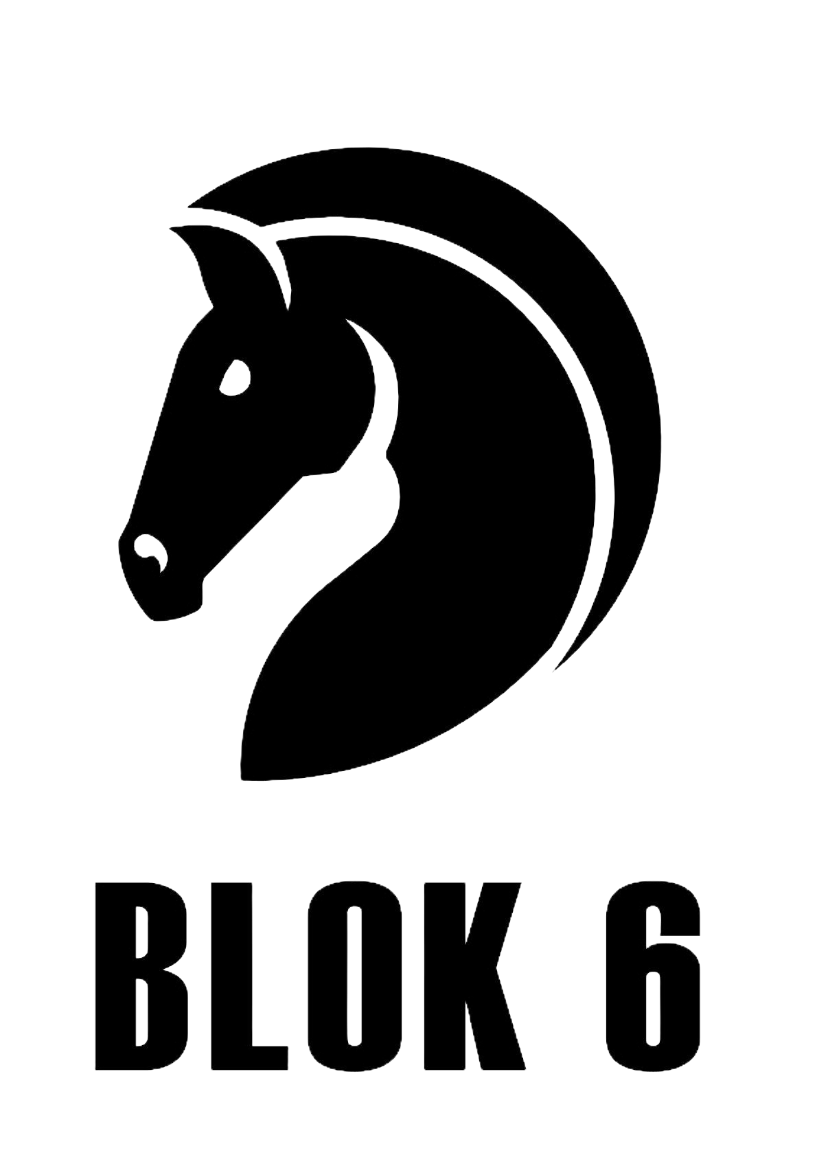 logo_b6_bile_1_.png